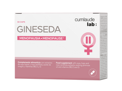 Gineseda