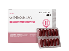 Gineseda